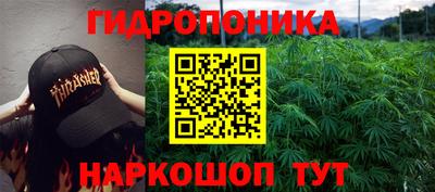 наркотики Можга